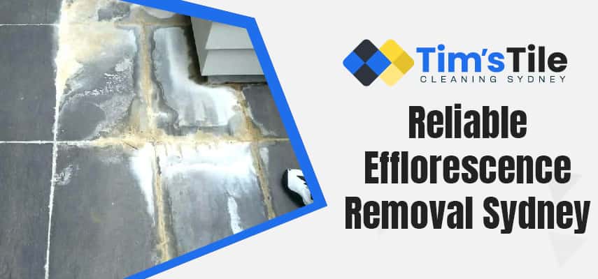 Reliable Efflorescence Removal Sydney